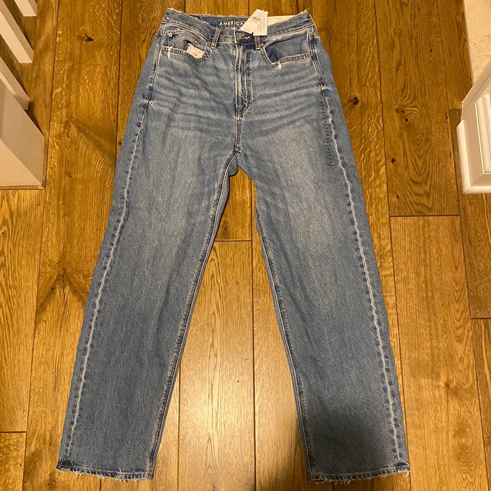 NWT American Eagle Baggy Mom Jean 6S